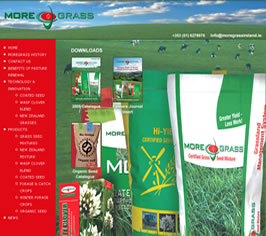 myit web design graphics